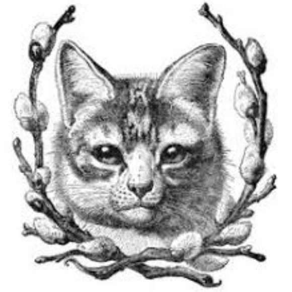 Meet your Posher, R. - Picture 4 of 11